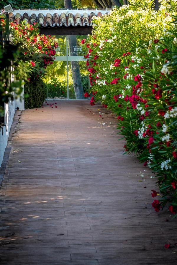 Marbella Banus Suites - Bird Of Paradise Playas Del Duque Banus Suite Apartment Ngoại thất bức ảnh